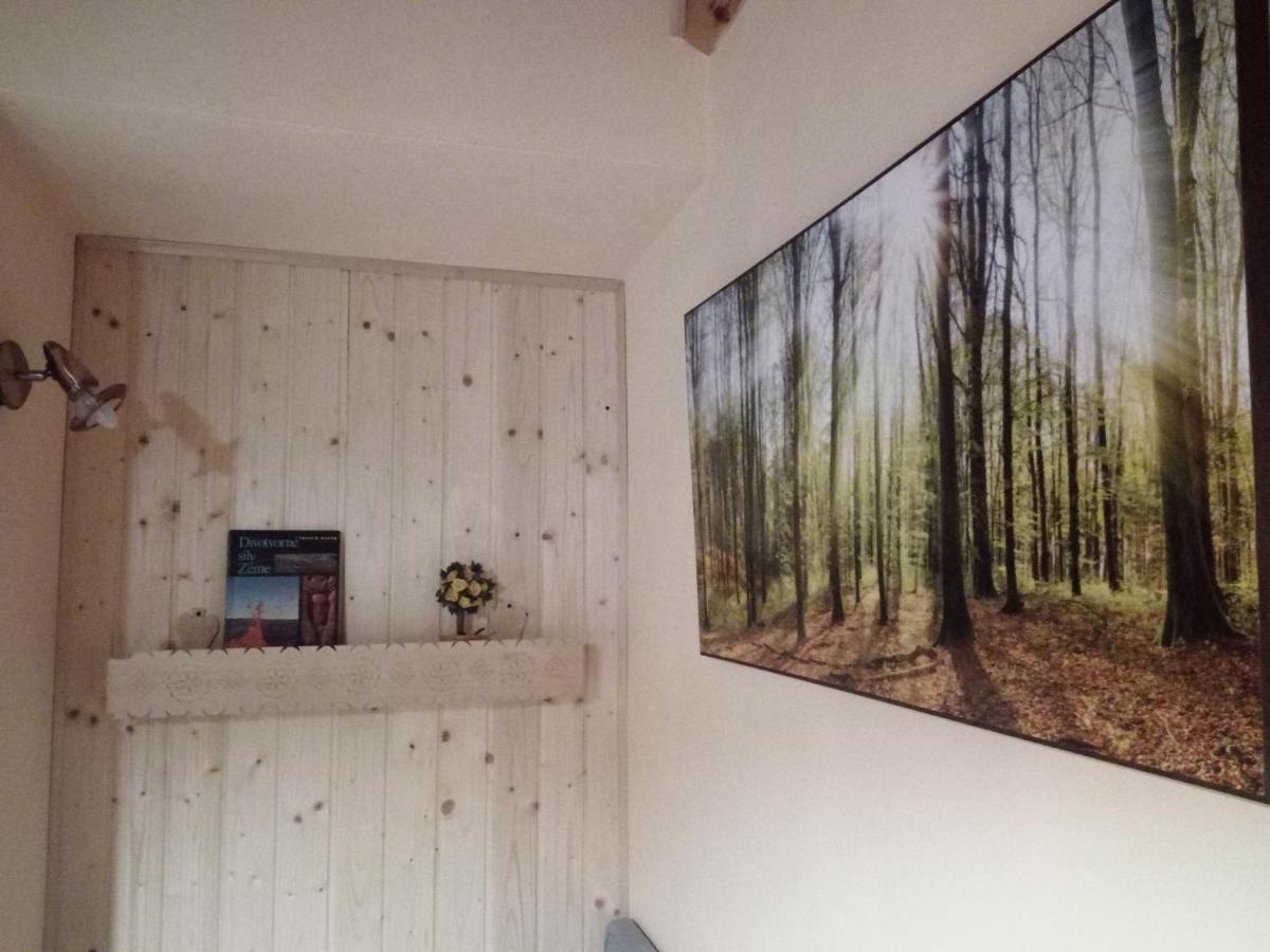 Studio Liptovsky Trnovec Bagian luar foto